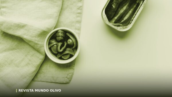 Aceite de oliva de 5 litros: cuándo compensa y cuándo no