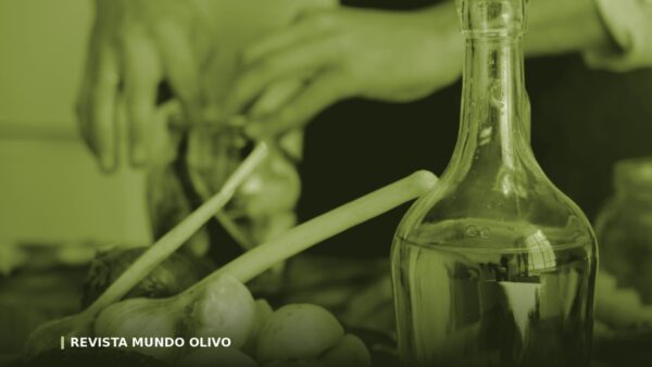 Aceite de oliva y colesterol: qué dice la evidencia