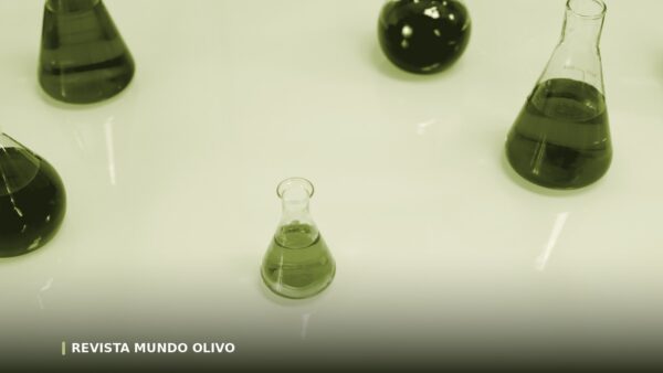 Acidez del aceite de oliva: qué significa ese 0,2%
