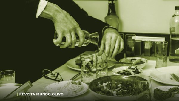Beneficios del aceite de oliva: qué dice la evidencia