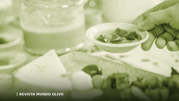 Cómo catar aceite de oliva en casa, paso a paso