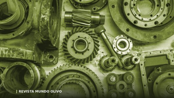 Comprar aceite directo de almazara: cómo funciona y qué cambia